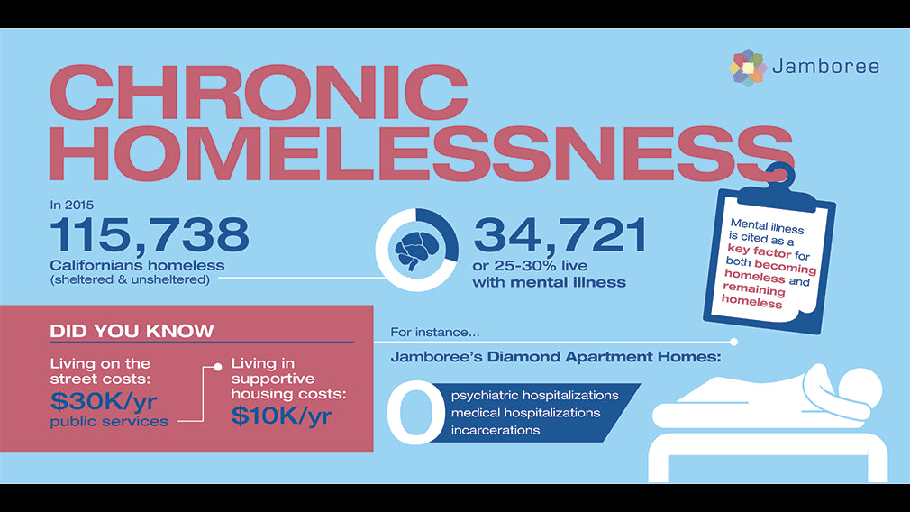 An informative graphic on chronic homelessness
